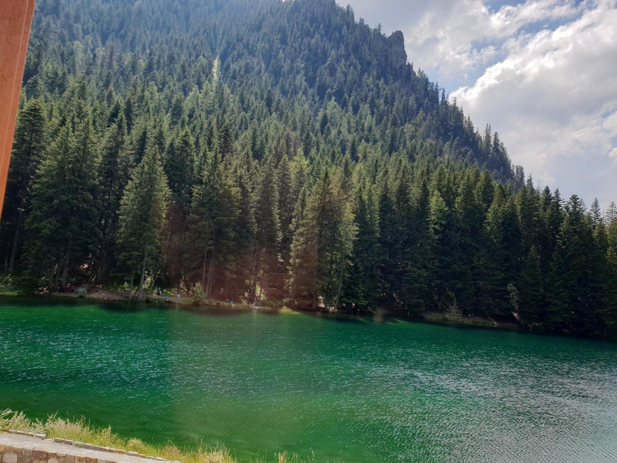 Grand Chalet Du Boreon Bed & Breakfast Saint-Martin-Vésubie Екстериор снимка